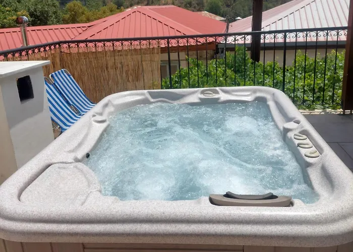 1 Case de vacanță *